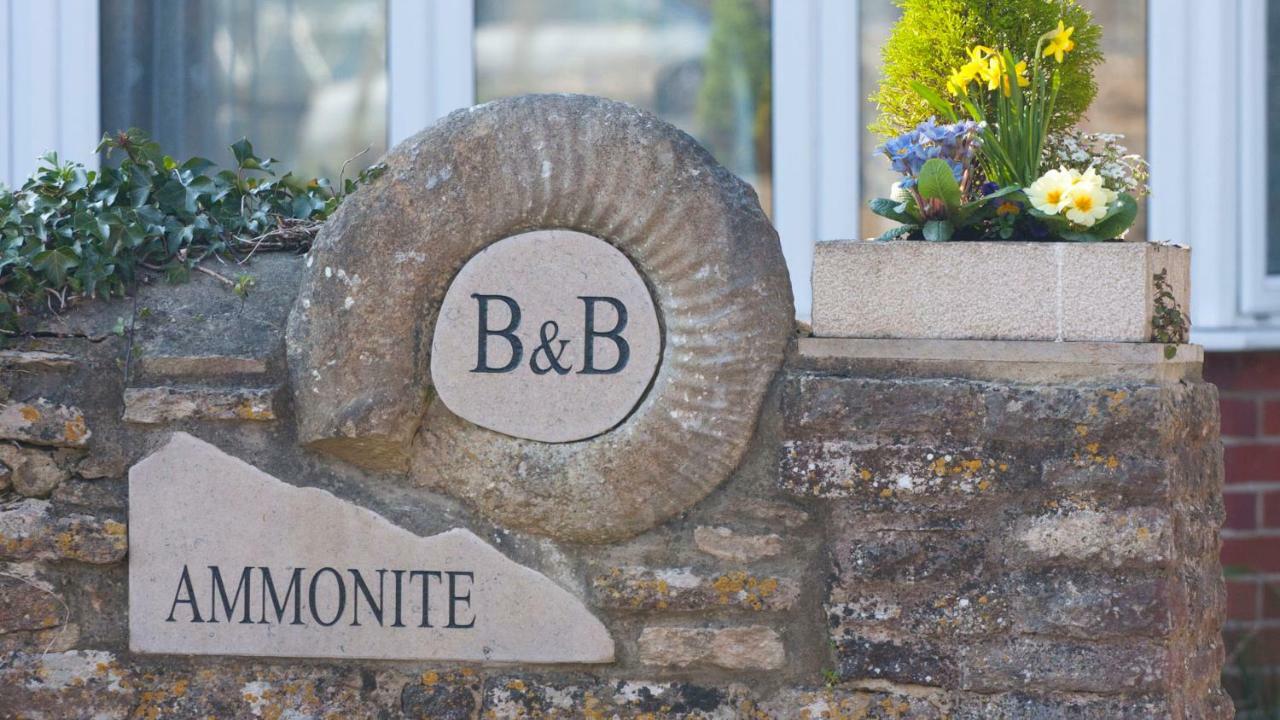 Ammonite Bed & Breakfast Corfe Castle Ngoại thất bức ảnh