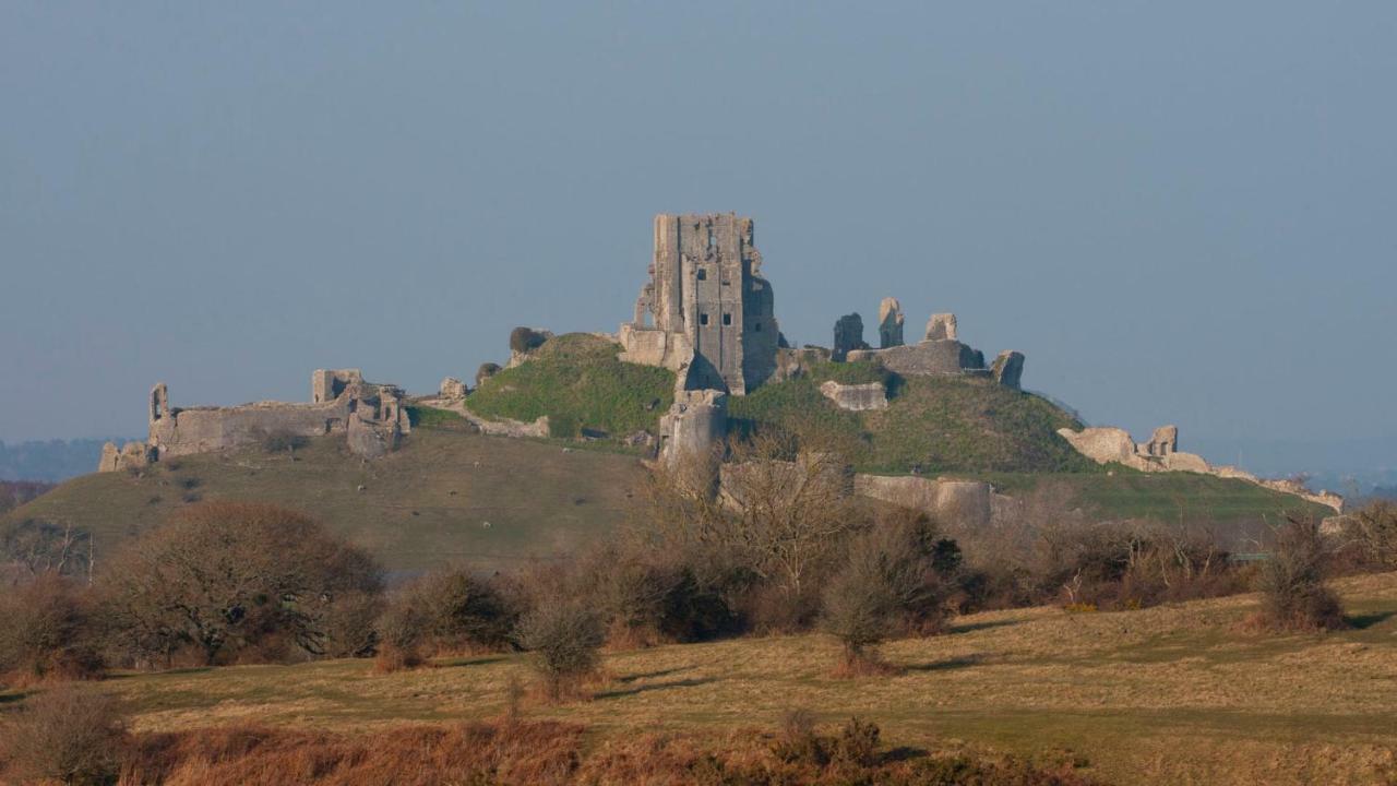 Ammonite Bed & Breakfast Corfe Castle Ngoại thất bức ảnh